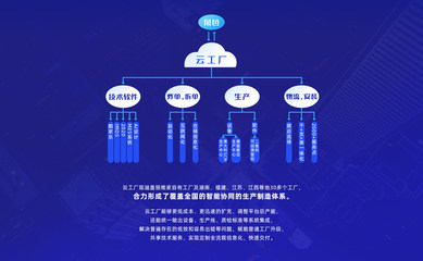 麗維家 打造互聯(lián)網(wǎng)時(shí)代的木匠新標(biāo)桿